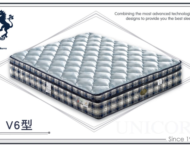 馬毛獨立筒床墊 1